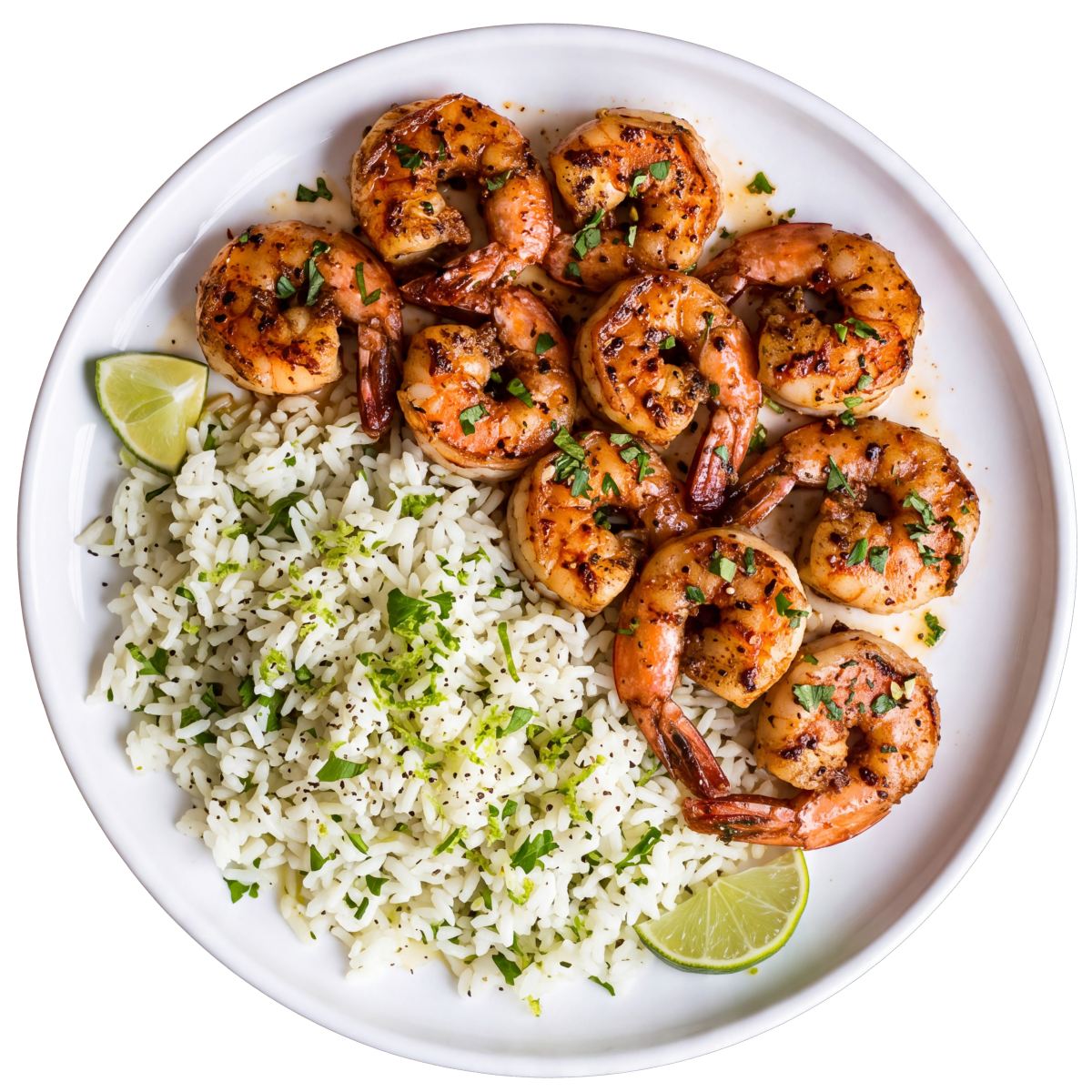 Shrimp